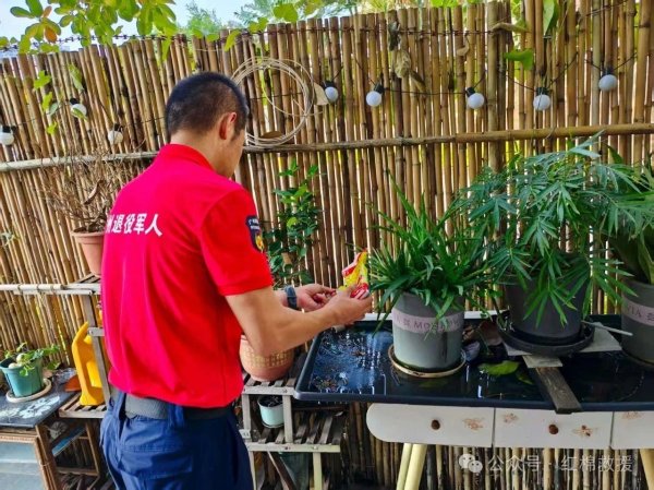 配资公司查询 南沙红棉救援队烈日冲锋，筑牢基孔肯雅热社区防线
