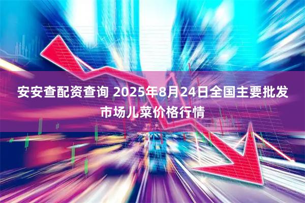 安安查配资查询 2025年8月24日全国主要批发市场儿菜价格行情