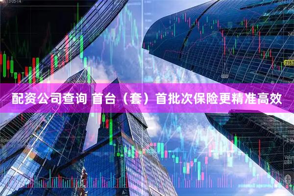 配资公司查询 首台（套）首批次保险更精准高效
