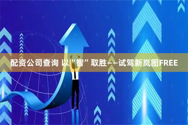 配资公司查询 以“智”取胜——试驾新岚图FREE