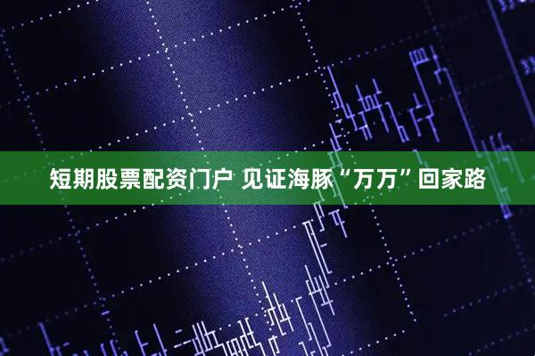 短期股票配资门户 见证海豚“万万”回家路